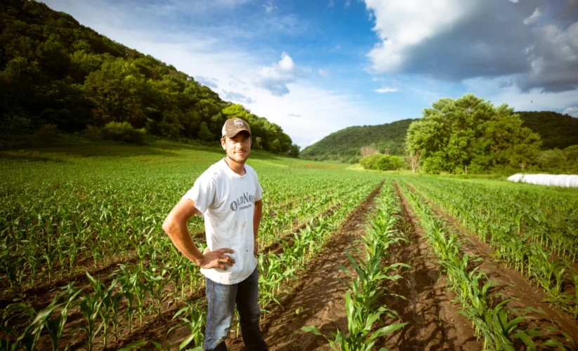 A Farmer’s Fascination With Mathematics